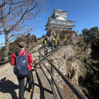 金華山 / jinsenさんの金華山・洞山・舟伏山の活動データ | YAMAP