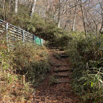 林道の突き当たり
この上が石割神社