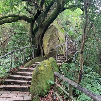 階段
登りにくい様な
登り降りしやすい様な