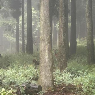 何回か会ってるんですが、撮れたのは初です