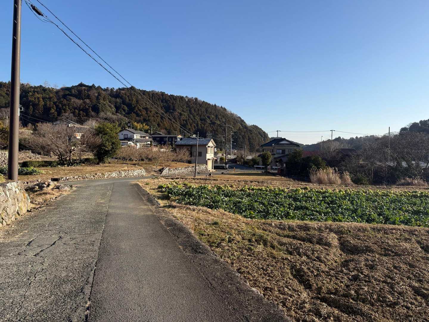 のどか〜今日はあったかい