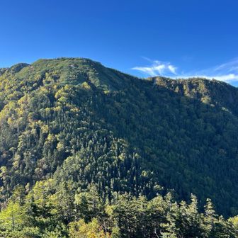 降ってきた尾根