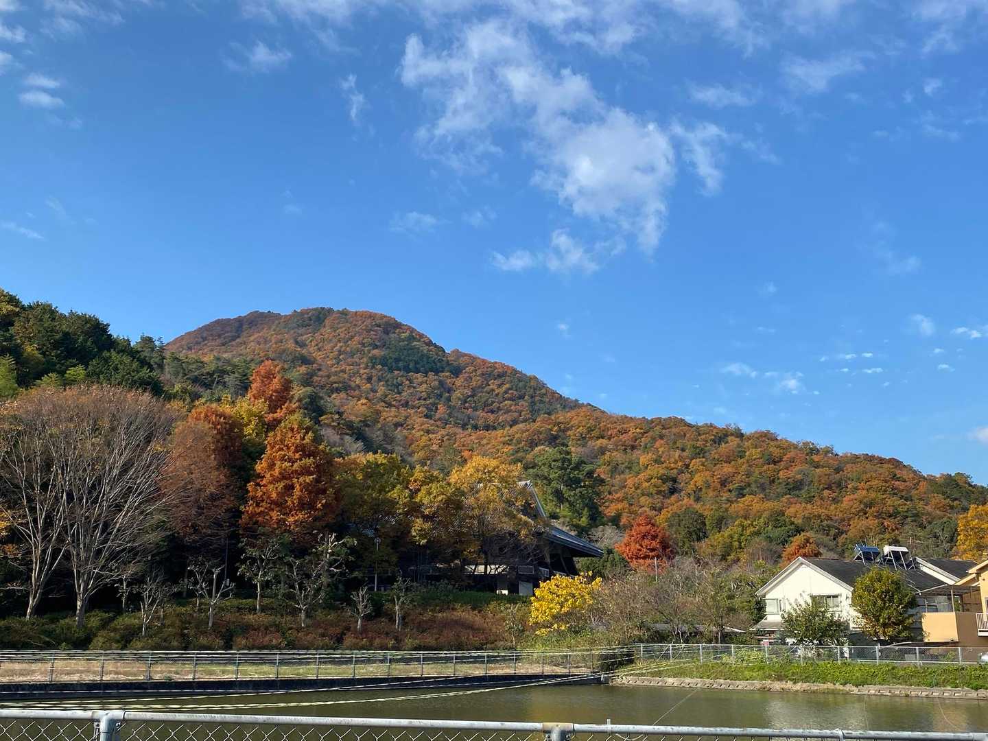 
　　　　　今日は教えていただいた
　　　　　祐泉寺尾根コースで登ります♪
