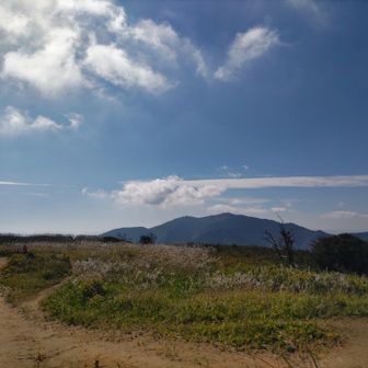 目先に金剛山