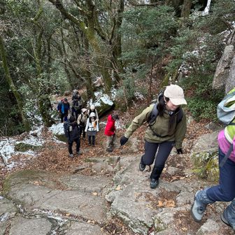 わいわい登りますのでしんどくはない。