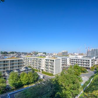 屋上緑化