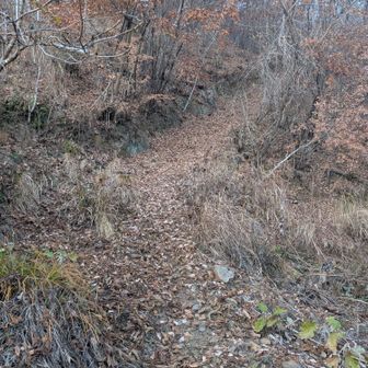 最後のこの坂がほんと滑って怖かった