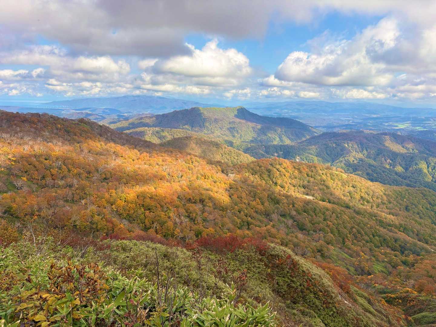 長万部岳登山口-長万部岳 往復コースの写真