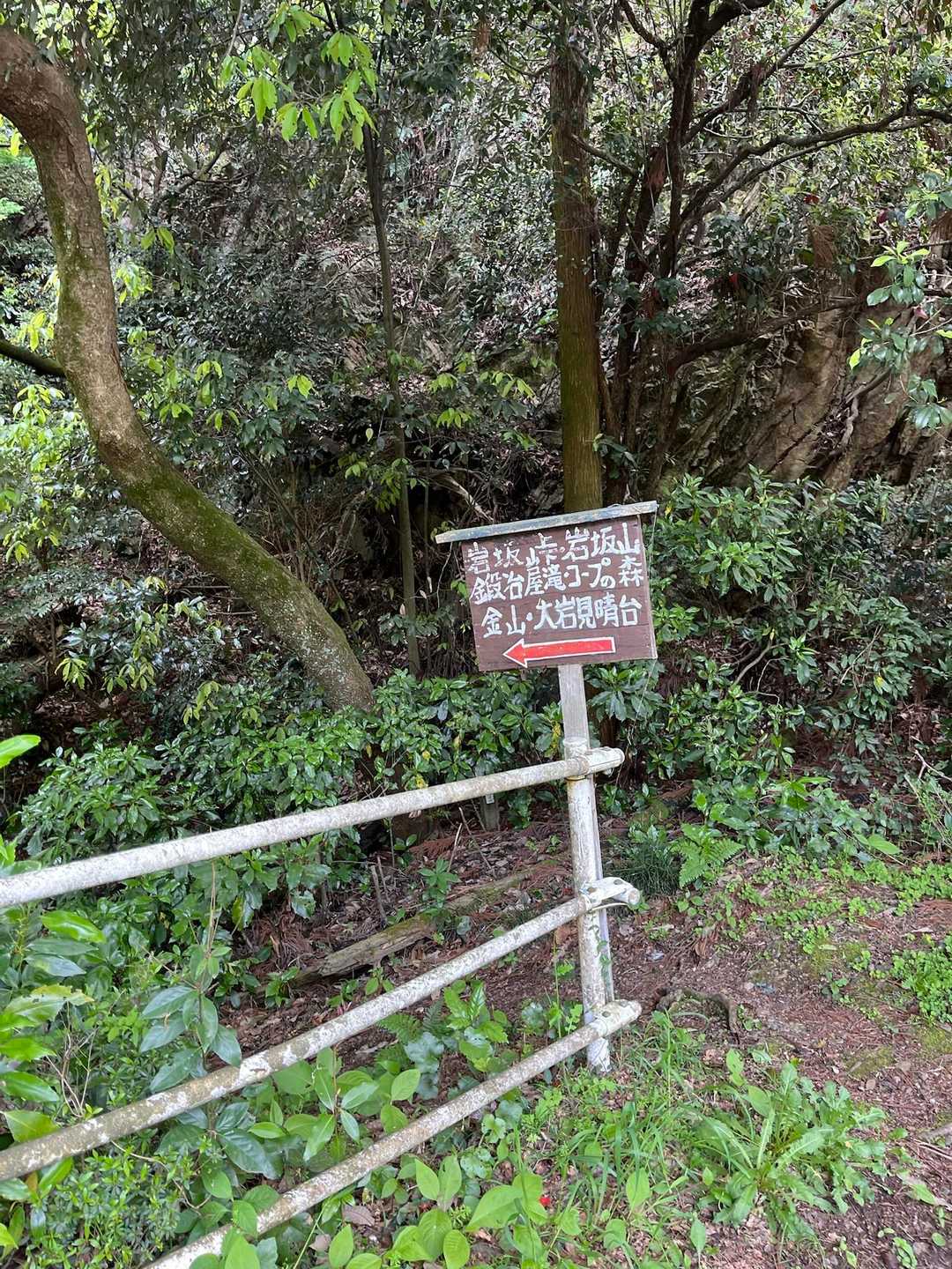 ここまでの沢沿いの道が苔と落ち葉で少し滑りました
