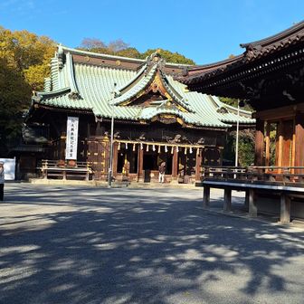 三島大社によりました。とても大きな神社で、境内に枝垂れ桜の木が、たくさんありました。桜の季節にまた来てみたいです。