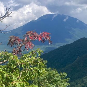 五色山山頂でナナカマドが色付き奥に男体山