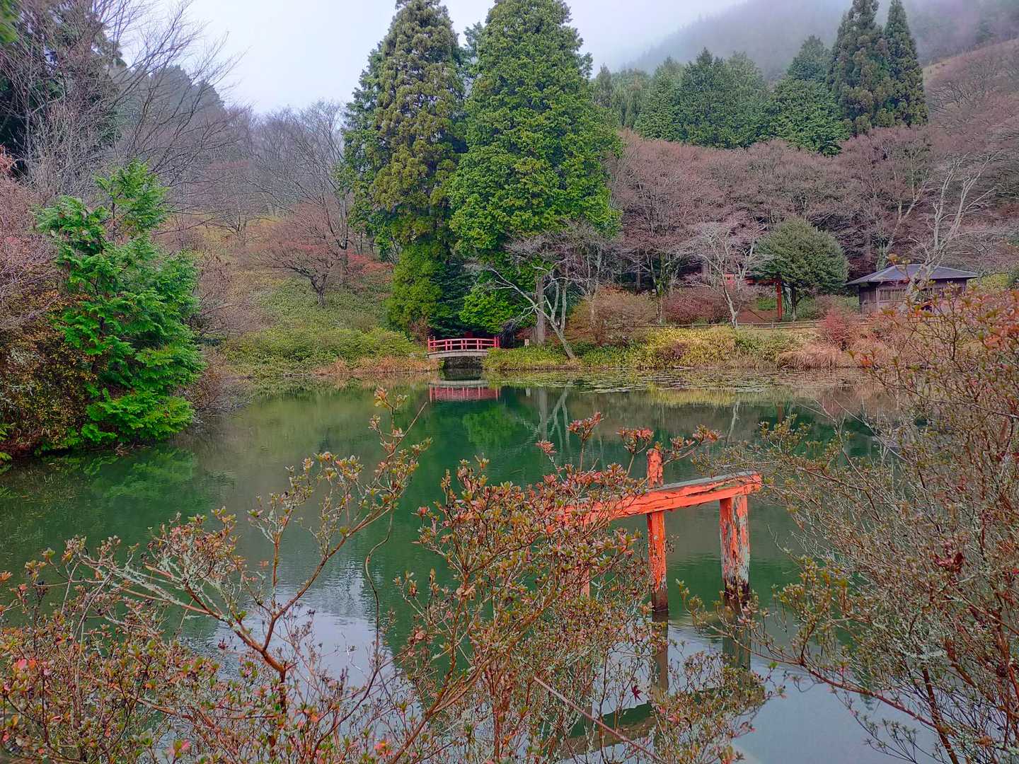 鳥見山登山口-鳥見山 往復コースの写真