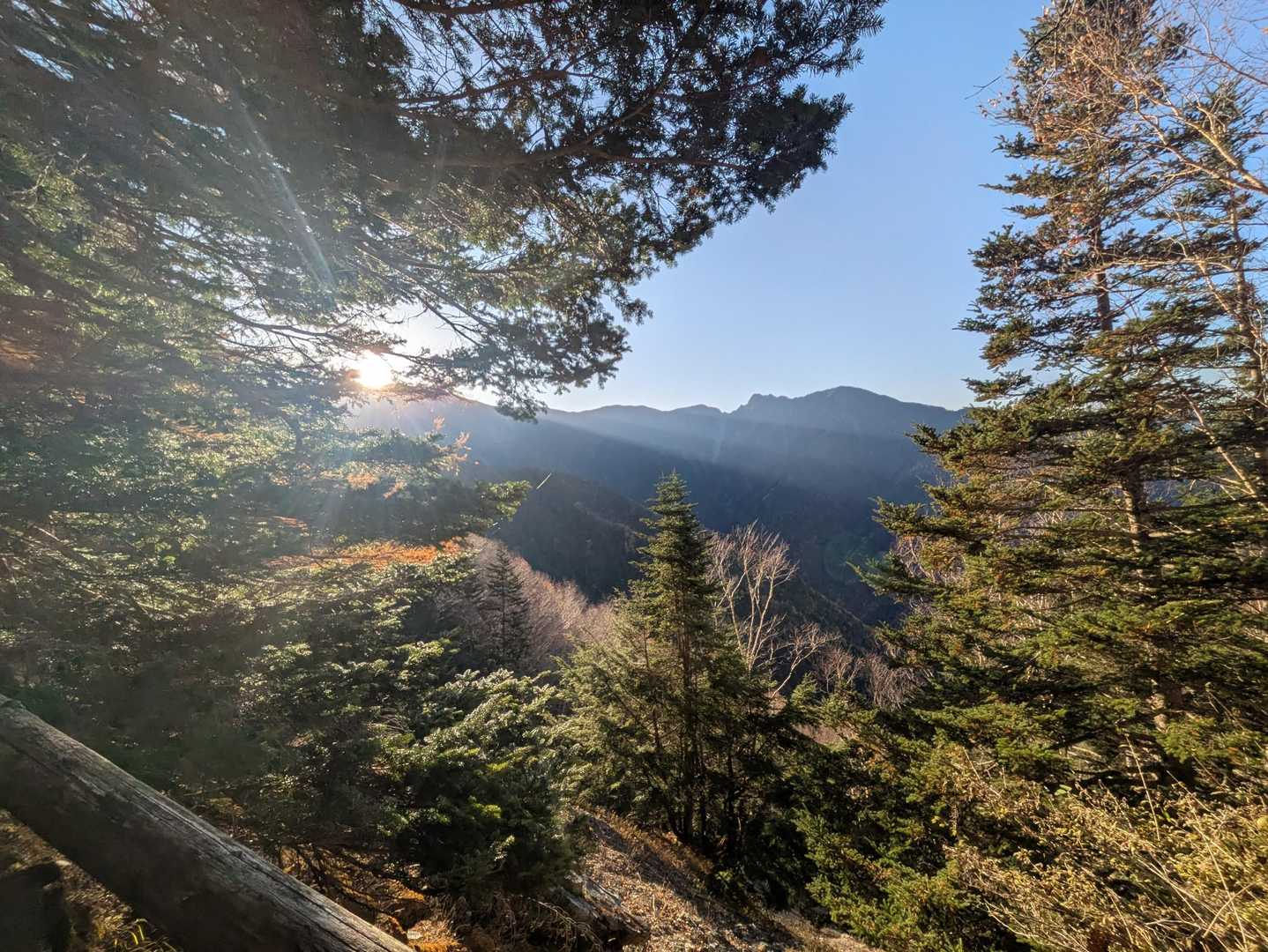 本谷山-三伏山-三伏峠-鳥倉登山口-越路バス停 縦走コースの写真