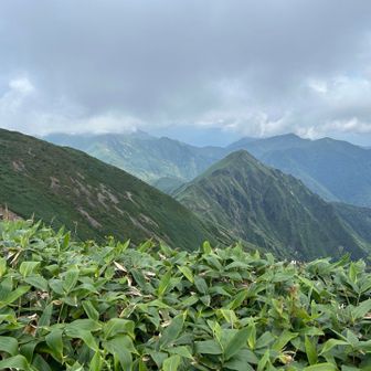 仙ノ倉山まであと少しです💪

三角形の山はエビス大黒の頭です😊