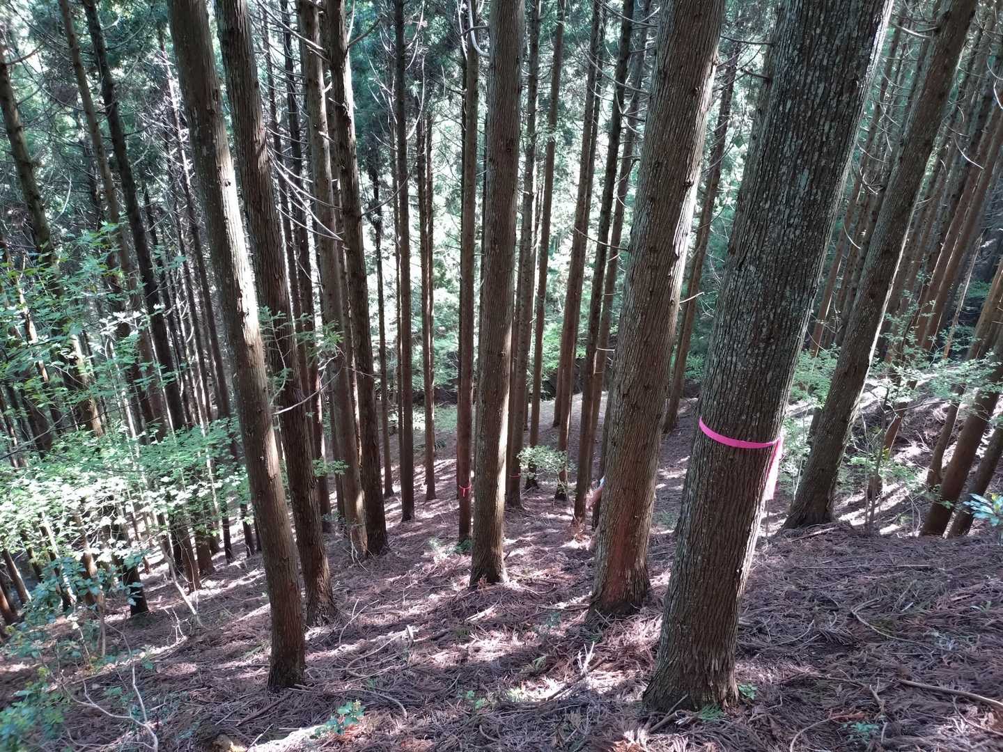 急で滑りやすかったです💦