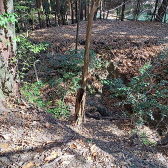 無理やり下りた　笑