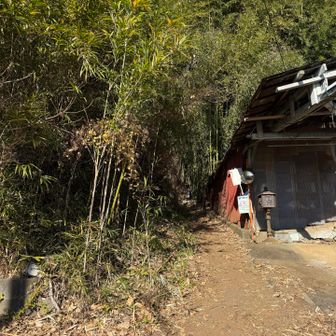 下山した登山口はここ。わかりにくいね。