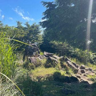 山頂が見えてきたーー