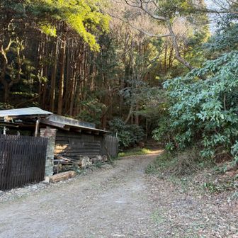 こちらから山道