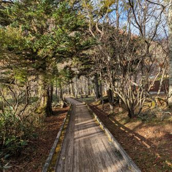 一周するのは1時間位
一部だけ木道
気持ち良き〜✨