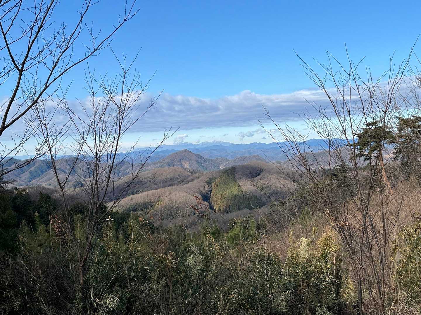 桜峠から西側を望む。