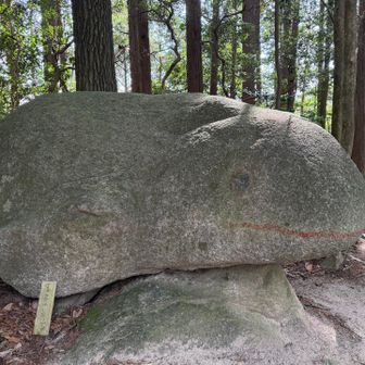 カエル岩だって