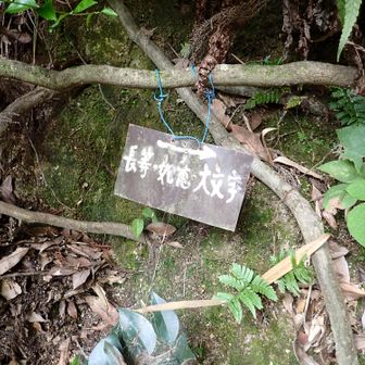 登山口から山に入る。