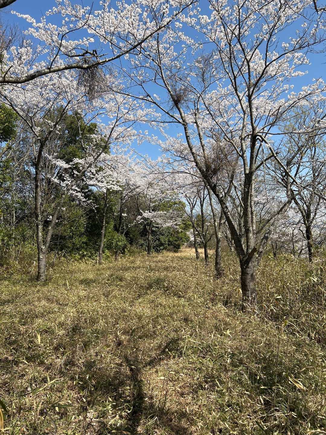 ええとこやん