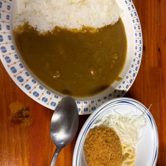 夕食はカレーです
美味しい、おかわりしました