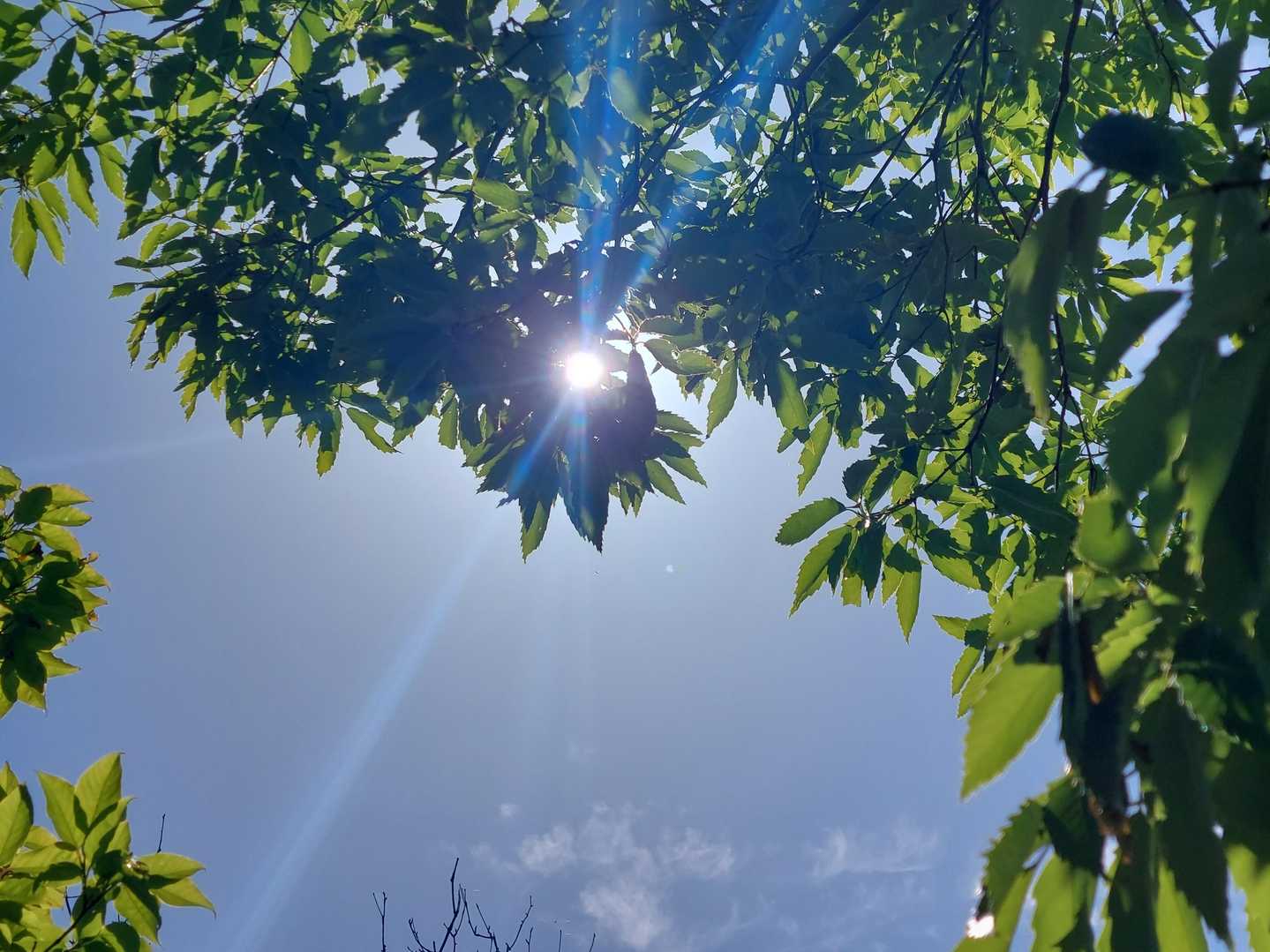 めちゃくちゃ、天気が良い！
晴天