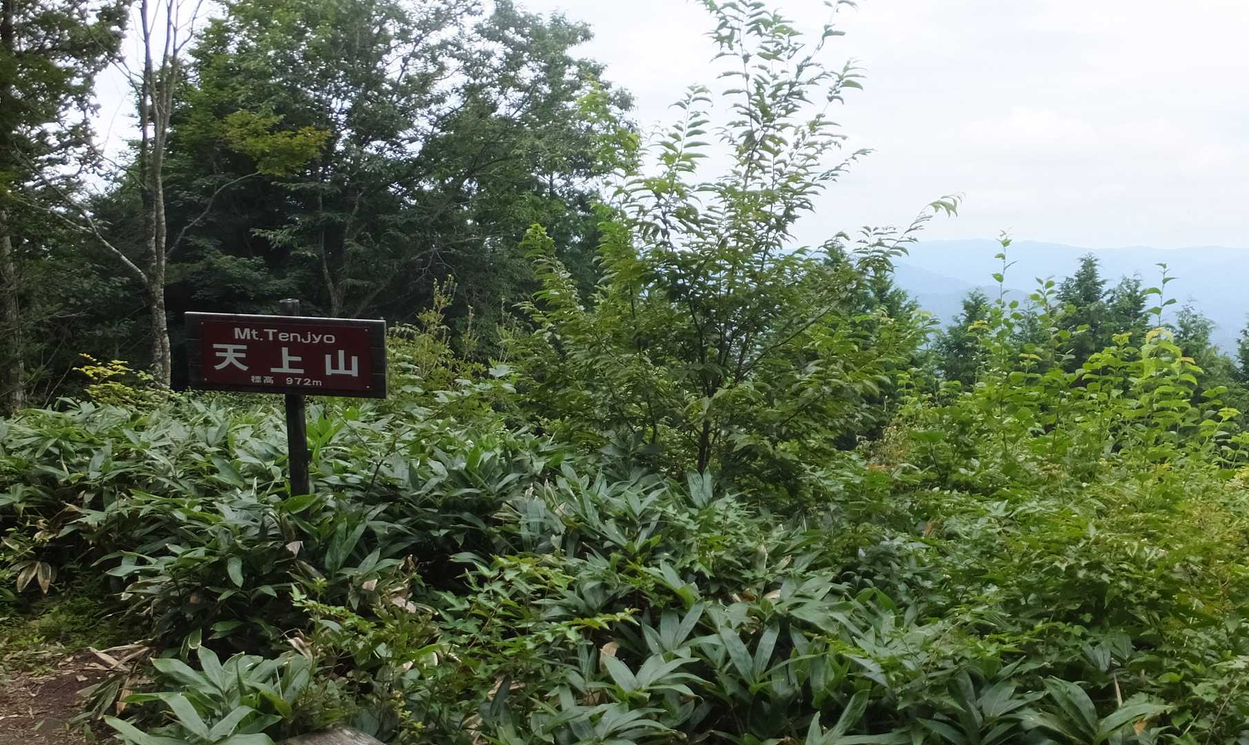 山頂