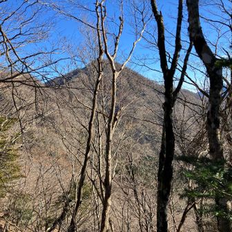 さっきまであそこにいたんだよね。不思議な感じ。