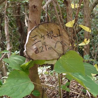 せっかくなので山頂も（笑）