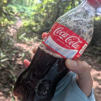 コーラと思うじゃん
中身はコーヒー入れてきた
なんだか変な感じだ 笑