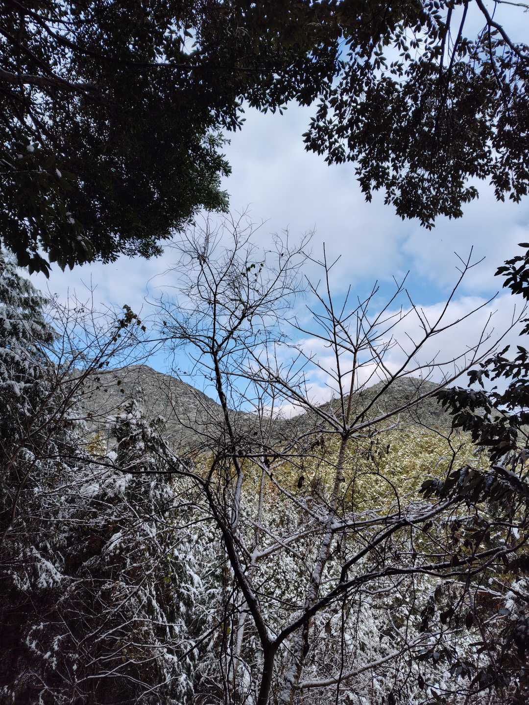 矢筈岳～女岳