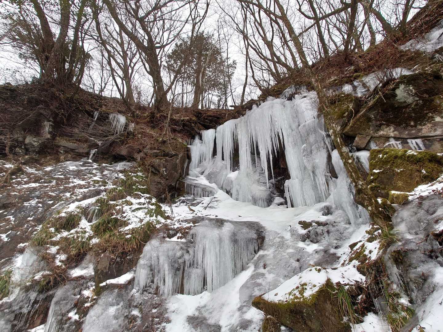 別所登山口-奉幣殿-英彦山 周回コースの写真