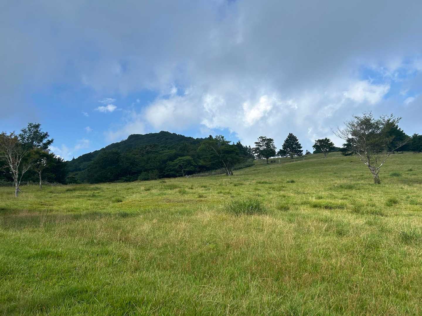 のどかな景色