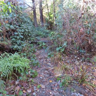 登山道 入り口の様子
