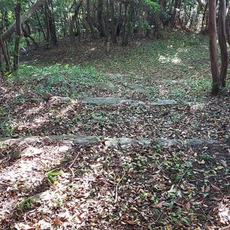 さぁ戻りましょう