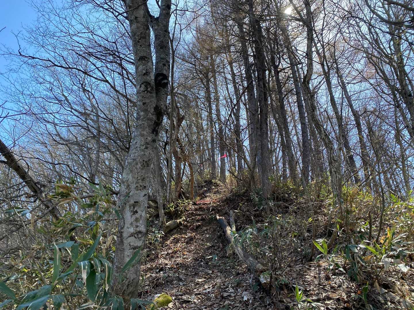 山寺観音千手院-雨呼山-鵜沢山-三角山-三角山登山口 縦走コースの写真
