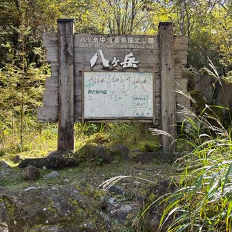 やっと登山口。臨時駐車場からすでに2時間歩いた