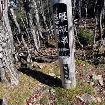 今日の4座目　雁坂嶺