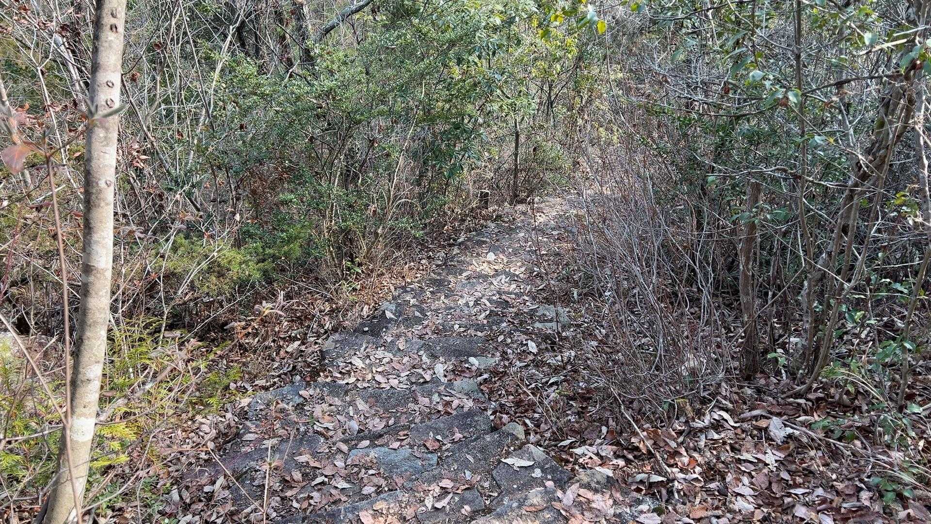 そして一旦下まで降ります。