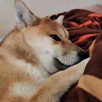 にけ