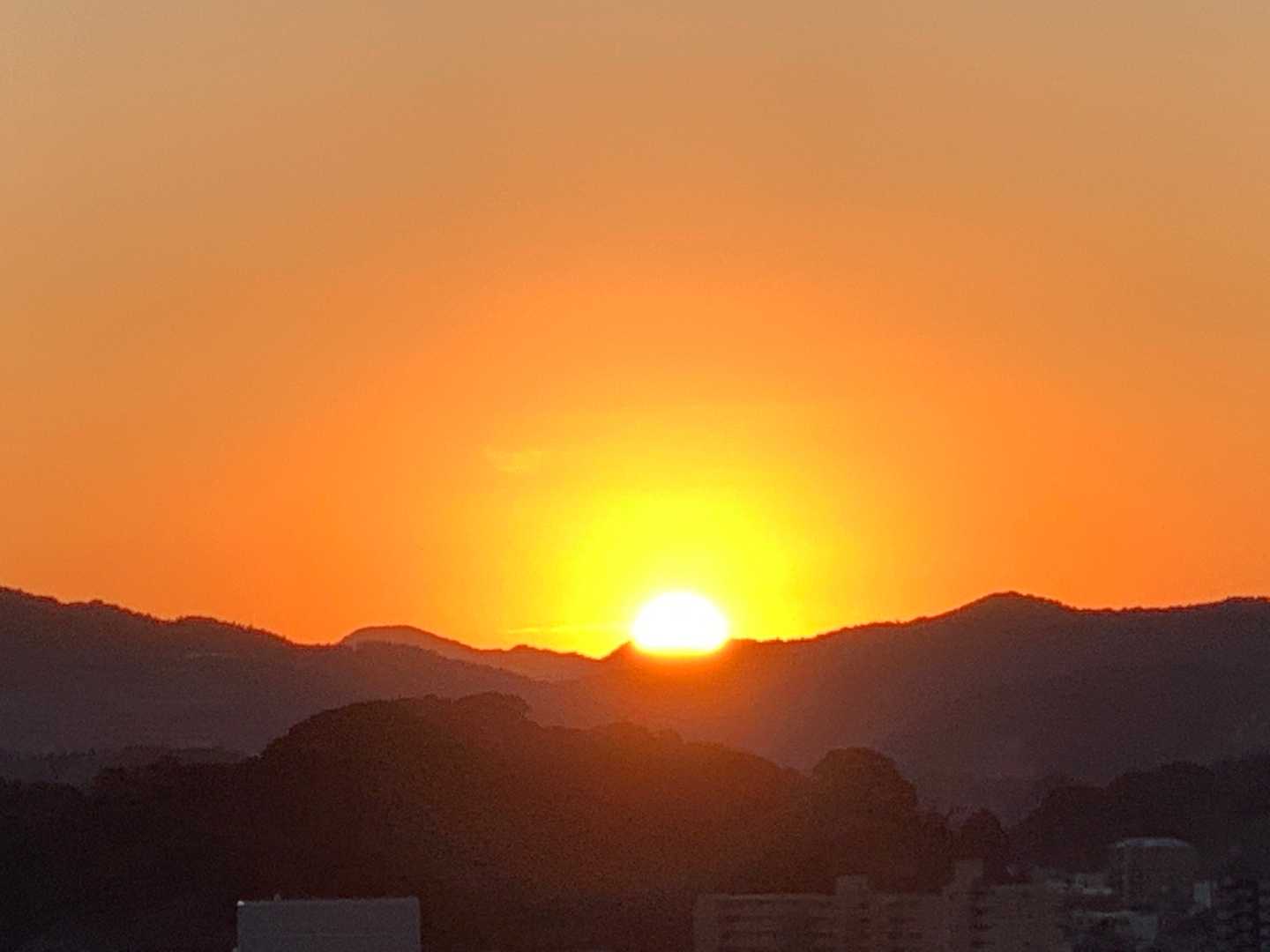 今年もいい一年になりますよう