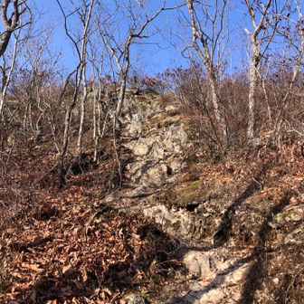 頂上は岩のようですよ、ここだけ急登。