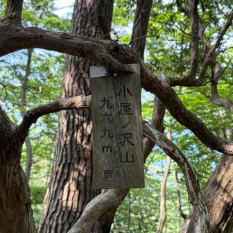 小屋ノ沢山到着