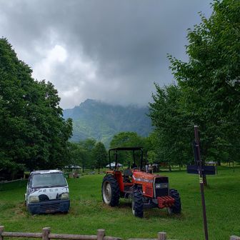 のどかな牧場の背景は厳しい崖