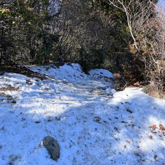 結構カチカチのところ多し