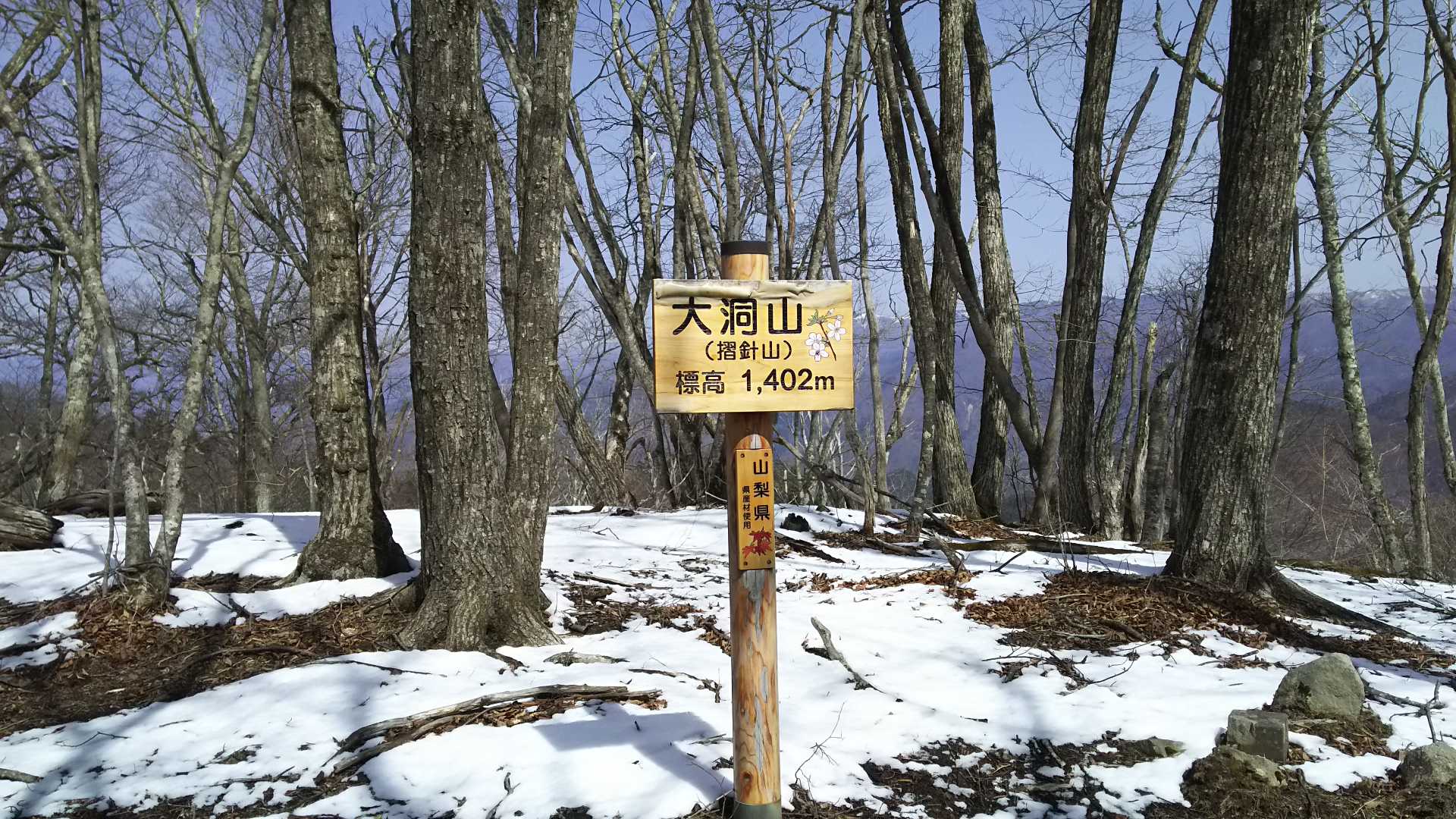 大洞山（山梨県）の写真